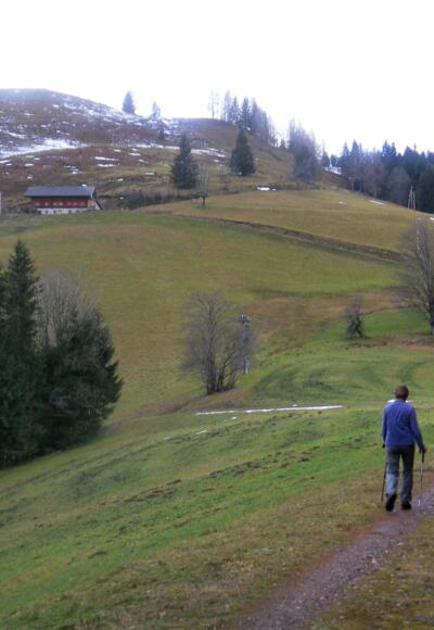 Rocheralm