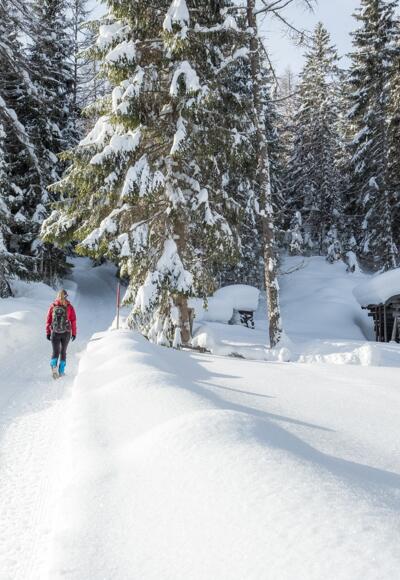 Winter-Idyll im Katzenloch.