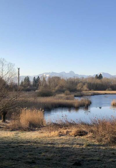 Tonwerkweiher mit Blick auf die Alpenkette