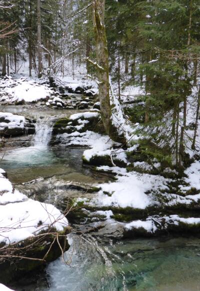 Mirchtl- oder Mörtlbach