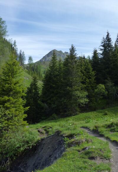 Querung in den Karteisgraben