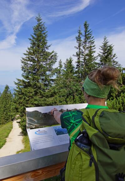 King&#039;s round on the Tegelberg