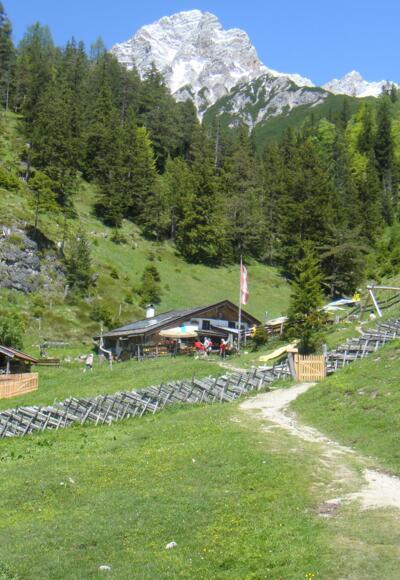 Steinalm
