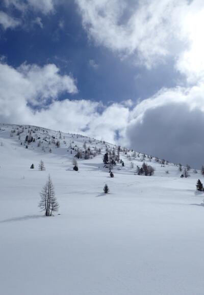 Für Nockbergverhältnisse schaut es gut aus