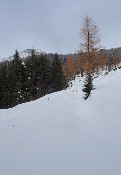 Aufstieg zum Taxlalmkogel