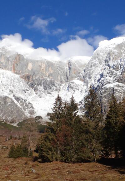 Hochkönig Südwand und Bratschenkopf