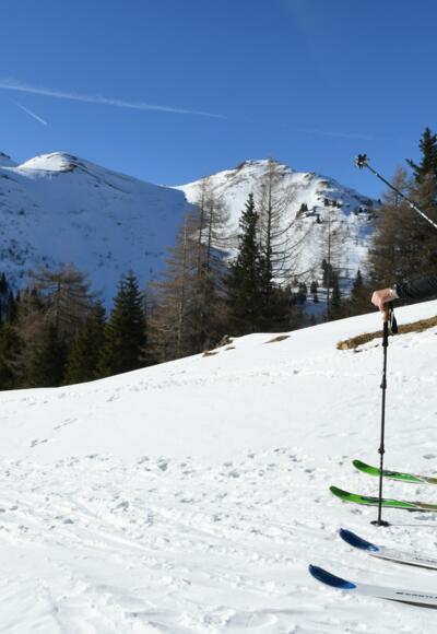 Blick auf die Nordhänge des Grubenkopfs.