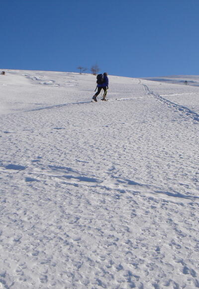 Aufstieg zum Bärennock