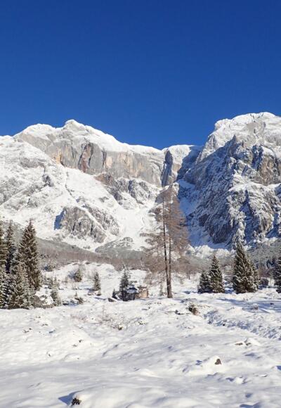 Neuschnee im Birgkar