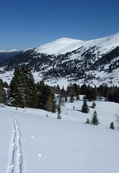 Aus dem Rosanintal zum Stubennock