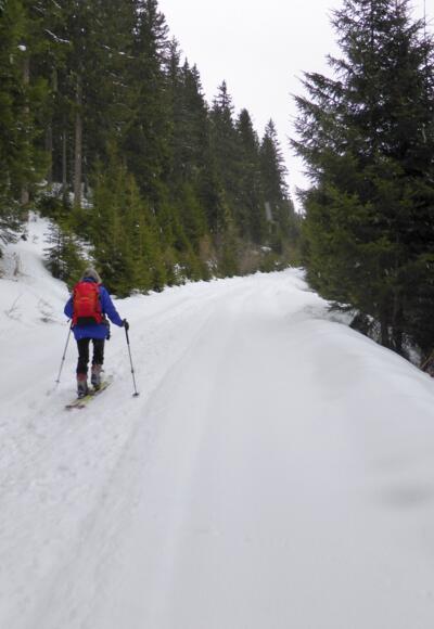 Am Fahrweg Richtung Kocherhütte