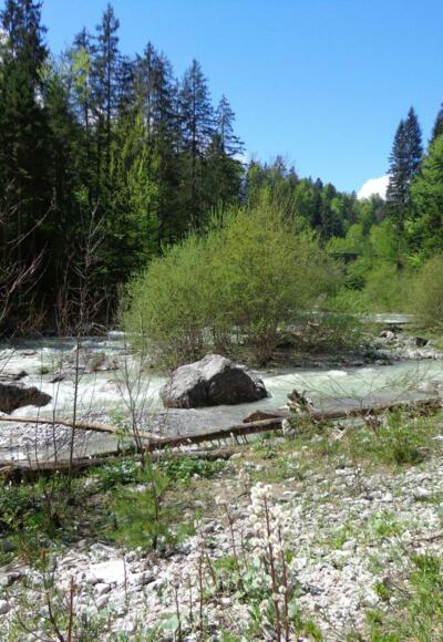 Loisach