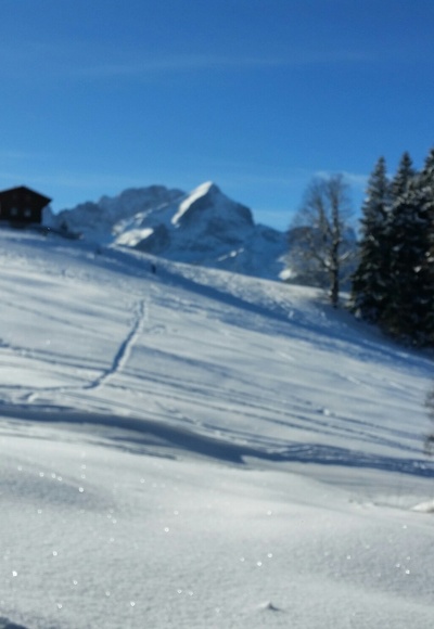 Blick auf die Alpspitze