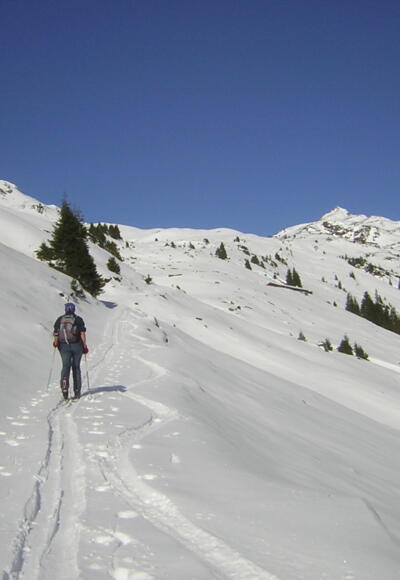 Osthänge zum Henlabjoch