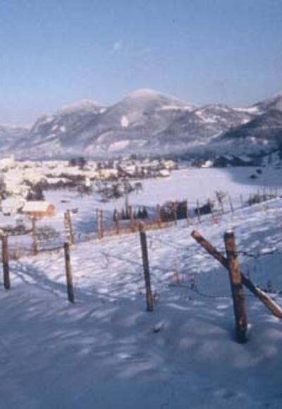 Winterwandern am Panoramaweg Steinbach