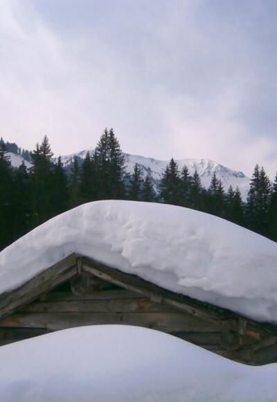 Im Schwarzachengraben