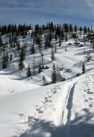 Sattel vor dem Westlichen Brandlbergkopf