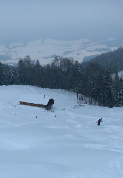 Moosgassneralm über Weissenbach