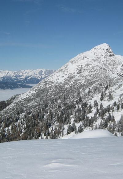 Strimskogel vom Hakopf