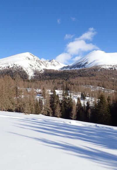 Golzhöhe - Roteck und Preber