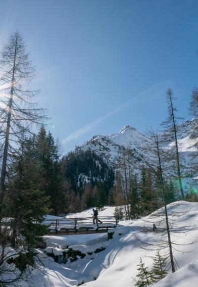 Auf dem Weg zur Grießbachalm.