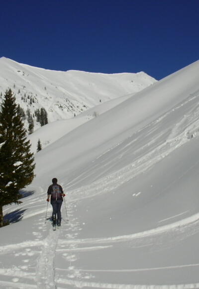 Moosbergriedel und Braunedlkogel