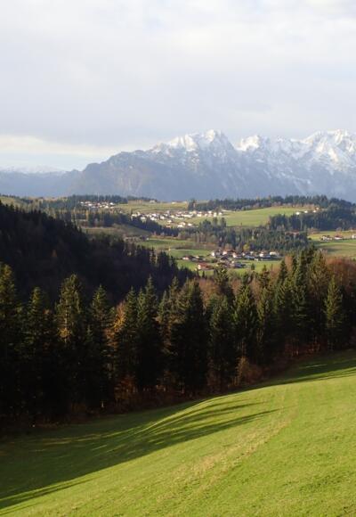 Blick über St. Koloman Richtung Göllmassiv