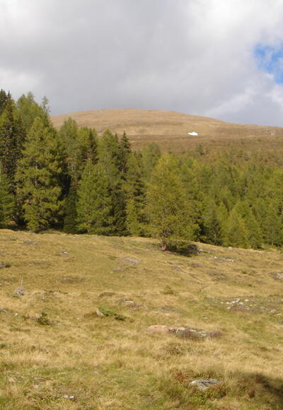 Aufstieg zur Golzhöhe