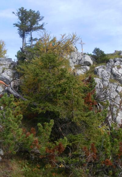 felsiges Gipfelfinale