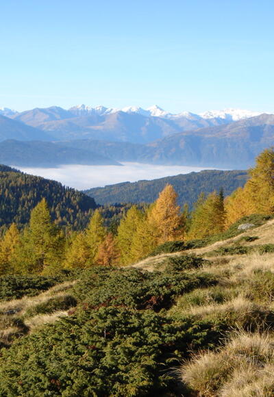 Herbstliche Farbenpracht am Weg zur Preberhalterhütte