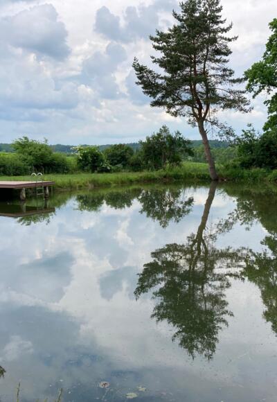 Privater Teich am Wegesrand