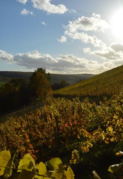 Weinwanderweg Röttingen