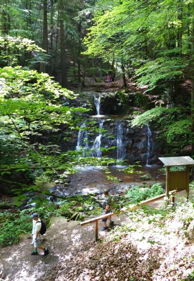 Der Wildkarwasserfall im Teufelsgraben.