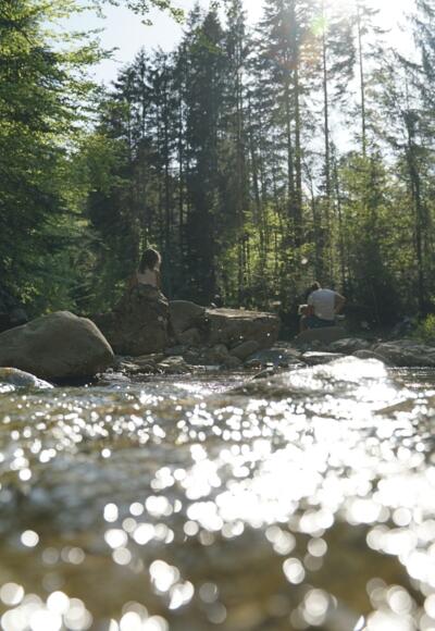 Idyllisches Steinbachtal oberhalb der Anzenbach-Mündung.