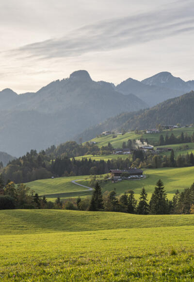 abendlicher Blick in die Chiemgauer Alpen