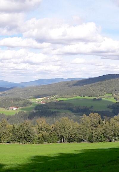 Panorama über Zierling