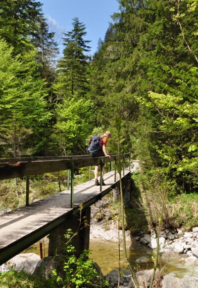 An dieser Brücke beginnt der Steig in die Rappinschlucht.