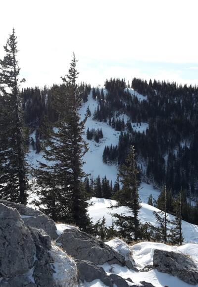 Edelsberg im Winter von der Alpspitze aus gesehen