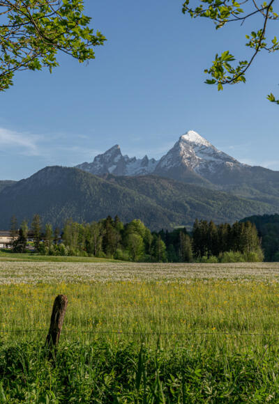 Blick von der Stanggaß