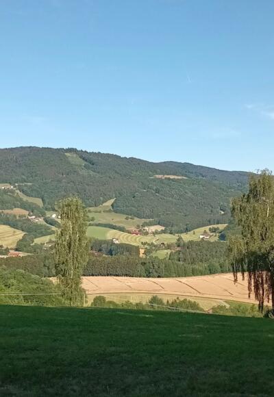 Blick zum Hinweg nach Eben und Rückweg nach Elisabethszell