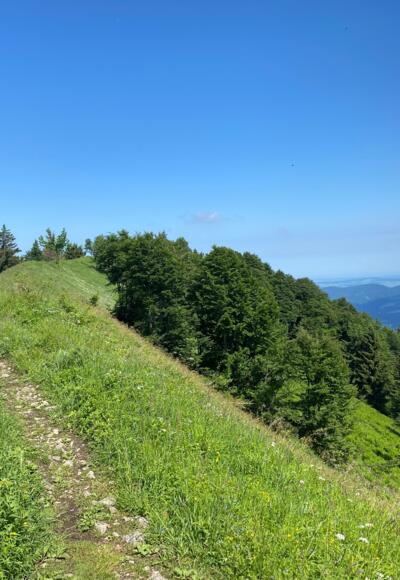 Gipfelschneid mit Blick zum Gipfelkreuz