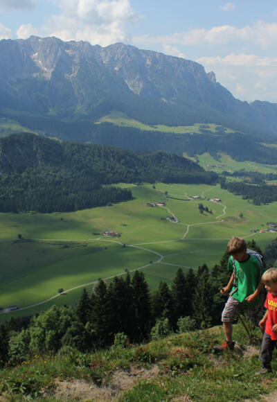 Almgelände unterhalb Hitscher Alm