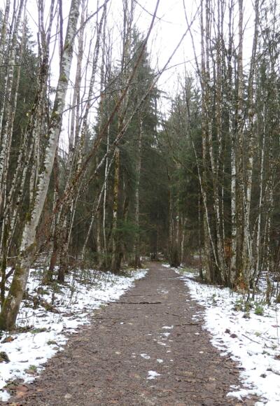 Fahrweg nach der Mautstelle