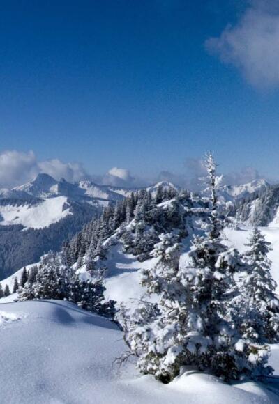 Gipfelpanorama mit Jägerkamp und Benzingspitz