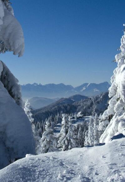 ... vor allem, wenn es viel geschneit hat.