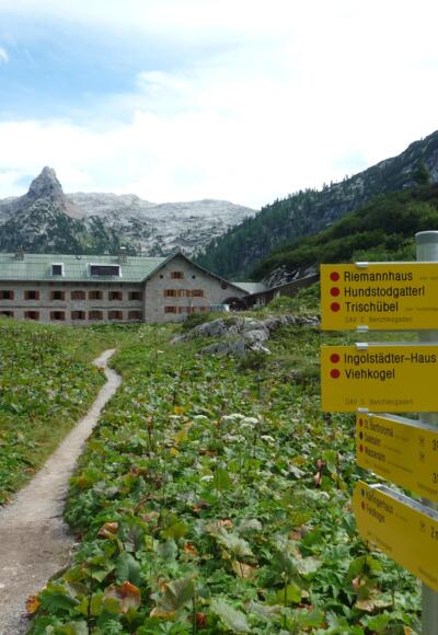 Die letzten Meter zum Kärlingerhaus mit Blick auf das markante Schottmalhorn.