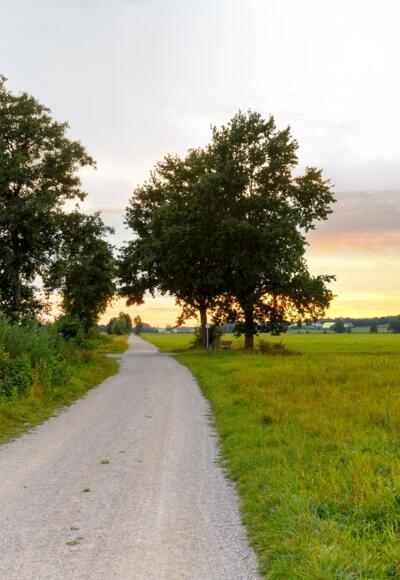 Barrierearmer Wanderweg in Schierling - Impression