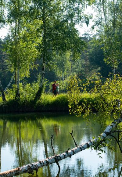 Einzigartige Naturerlebnisse am DonAUwald-Wanderweg