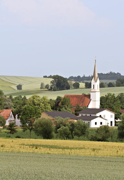 06 - Hanszell