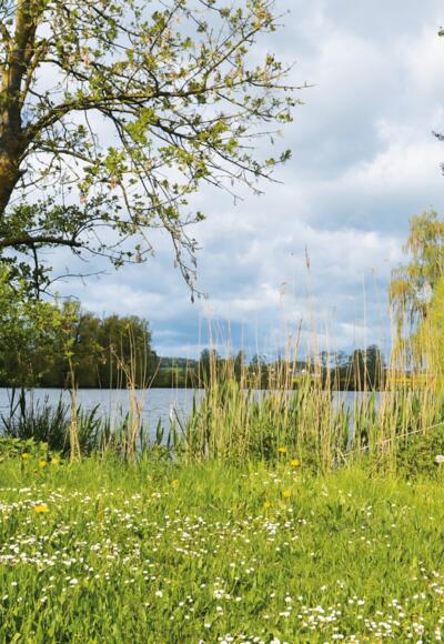 Walkweiher, Foto: Touristik Service Dinkelsbühl